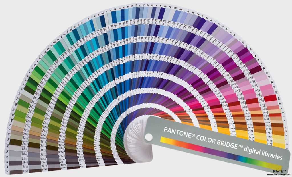 How Does Pantone Choose its Color of the Year? - Arte & Lusso