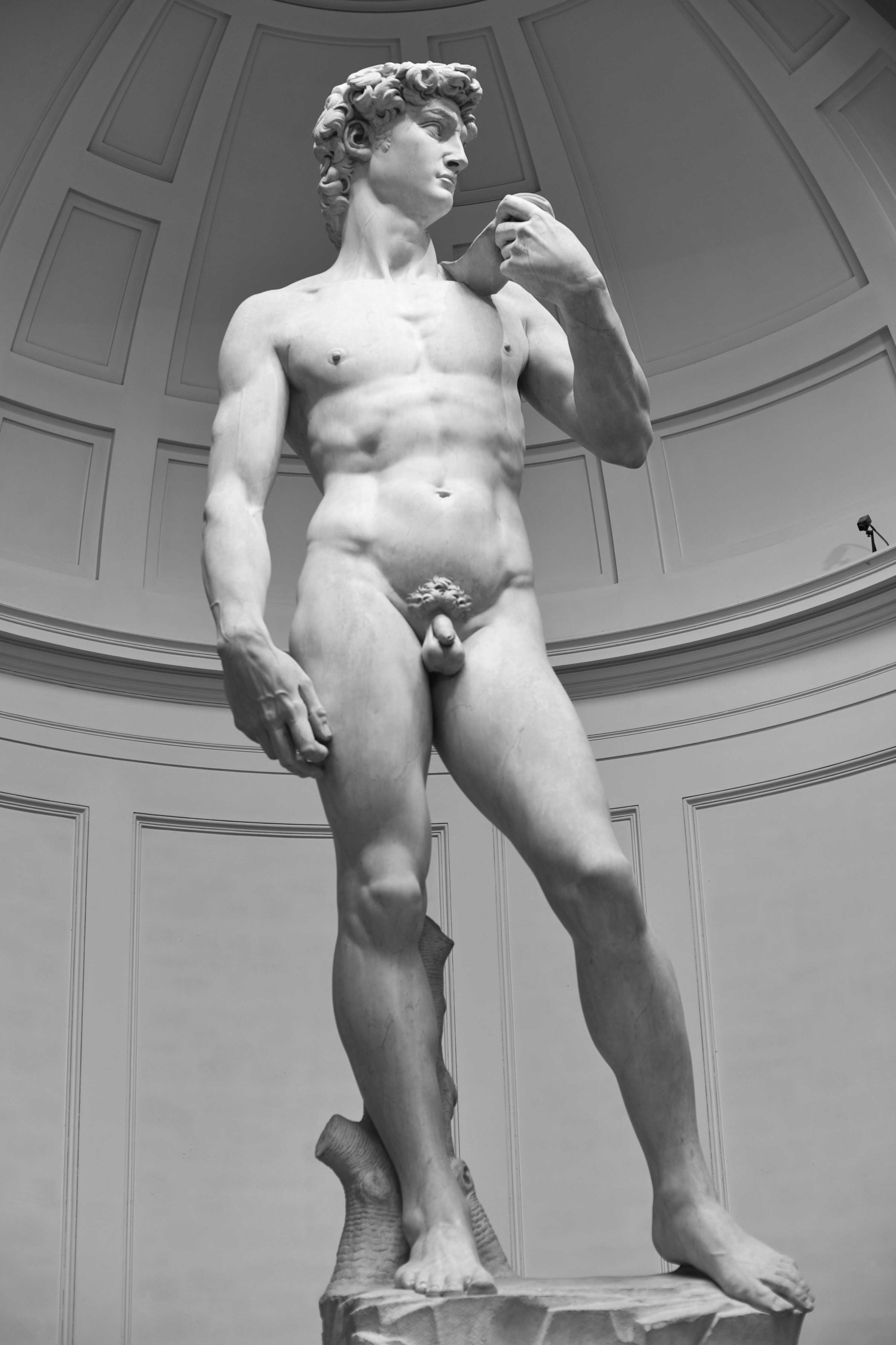 David by Michelangelo, Galleria dell'Accademia, Florence