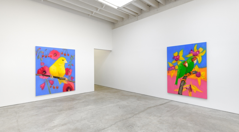 art galleries for emerging artists nyc