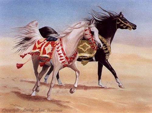 Horse riding culture UAE